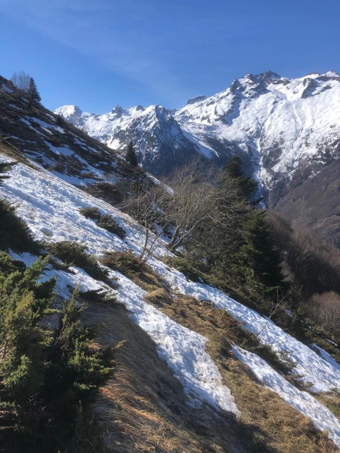 La Petite Maison Des Montagnes 뤼생소베르 외부 사진